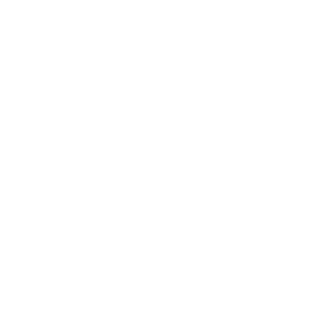 BMW logo