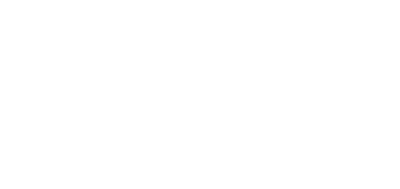 Novolex logo