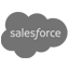 Salesforce icon